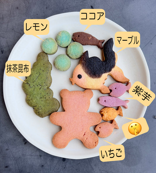 限定販売！！　クッキーアソート　夏　【金魚】